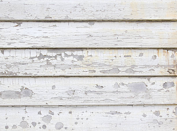 Best Hoarding Cleanup  in Timnath, CO